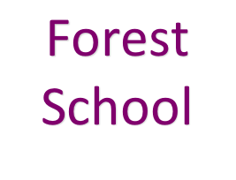 Forest  School